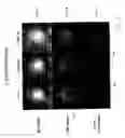 Fig. 06 - Methods for tissue analysis