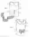 Fig. 03 - SUPPORT / COMPRESSION VEST