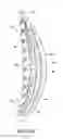 Fig. 05 - Orthopedic device for treatment of the back
