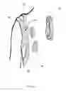 Fig. 09 - SHOULDER STABILISING DEVICE