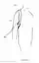 Fig. 11 - SHOULDER STABILISING DEVICE