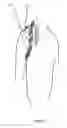 Fig. 12 - SHOULDER STABILISING DEVICE