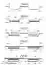 Fig. 08 - Iontophoretic drug delivery packaging