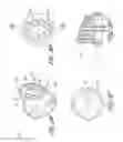 Fig. 10 - Removable tips for skin treatment systems