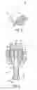 Fig. 03 - Enteral feeding connector and assembly