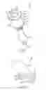 Fig. 05 - Enteral feeding connector and assembly