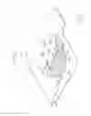 Fig. 04 - BODILY FLUID TRAPPING UNIT AND WEARING ARTICLE INCLUDING THE SAME