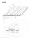 Fig. 07 - Absorbent article and composite sheet