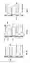 Fig. 06 - Matrix infusion pump and disposable set
