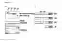 Fig. 09 - Compositions and methods for induced brown fat differentiation