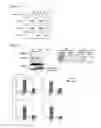 Fig. 11 - Compositions and methods for induced brown fat differentiation