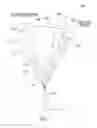 Fig. 13 - THERMAL SURGERY SAFETY APPARATUS AND METHOD