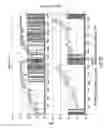 Fig. 44 - THERMAL SURGERY SAFETY APPARATUS AND METHOD