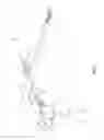 Fig. 07 - Electrosurgical cutting and sealing instrument