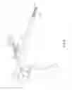 Fig. 09 - Electrosurgical cutting and sealing instrument