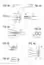 Fig. 08 - Method of fusing layers of biological tissue