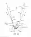 Fig. 19 - Flexible tissue removal devices and methods