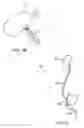 Fig. 09 - Filter apparatuses and methods of using same