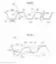Fig. 50 - Apparatus for treating GERD