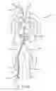 Fig. 07 - Devices and methods for treating venous diseases