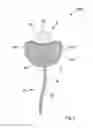 Fig. 04 - Pacifier
