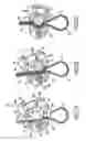 Fig. 03 - Vertebral fixing system