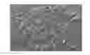 Fig. 01 - Method for preparing biomedical surfaces