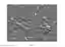 Fig. 06 - Method for preparing biomedical surfaces