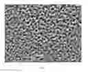 Fig. 08 - Method for preparing biomedical surfaces