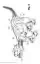 Fig. 03 - Autonomous robotic life form