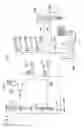 Fig. 05 - Vehicle, control method and control apparatus for vehicle