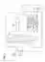 Fig. 02 - Fuel injection control system for direct-injection engine