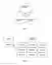 Fig. 05 - CARD-PRESENT SECURITY SYSTEM