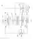 Fig. 11 - Longest prefix match using binary search tree