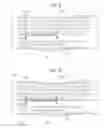 Fig. 09 - INFORMATION PROCESSING APPARATUS, INFORMATION PROCESSING METHOD, AND INFORMATION PROCESSING PROGRAM