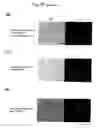 Fig. 43 - METHODS FOR PREVENTING OR INHIBITING MICROBIAL INFECTION OF PLANTS AND PLANT EXHIBITING RESISTANCE TO MICROBIAL INFECTION