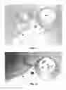 Fig. 08 - Vacuum attachment assembly