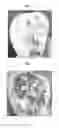 Fig. 04 - Refrigerator and method for controlling the same
