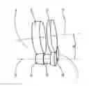 Fig. 01 - MANUAL TRANSMISSION