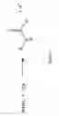 Fig. 02 - Aliphatic amine based nanocarbons for the absorption of carbon dioxide