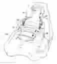 Fig. 01 - PANNUS SUPPORT ADAPTED FOR SURGICAL PROCEDURES
