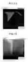 Fig. 09 - Rare earth sintered magnet
