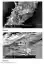 Fig. 07 - PAPER PRODUCT