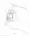 Fig. 02 - Idler roll seal