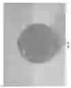 Fig. 28 - Dispenser