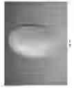 Fig. 37 - Adapter for a dispenser