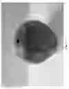 Fig. 30 - Shroud for a dispenser