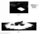 Fig. 10 - METHODS FOR ENVIRONMENTAL MODIFICATION WITH CLIMATE CONTROL MATERIALS AND COVERINGS