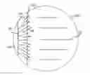 Fig. 01 - Fluid contactor-diffuser tray assembly