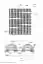 Fig. 07 - Semiconductor device structure and method for fabricating the same
